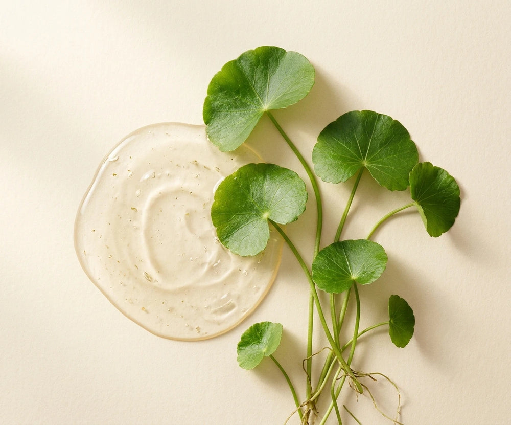 Centella Asiatica Extract