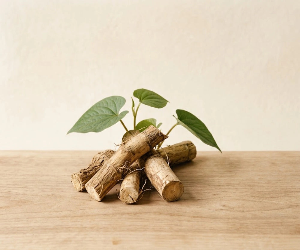 Kava Extract