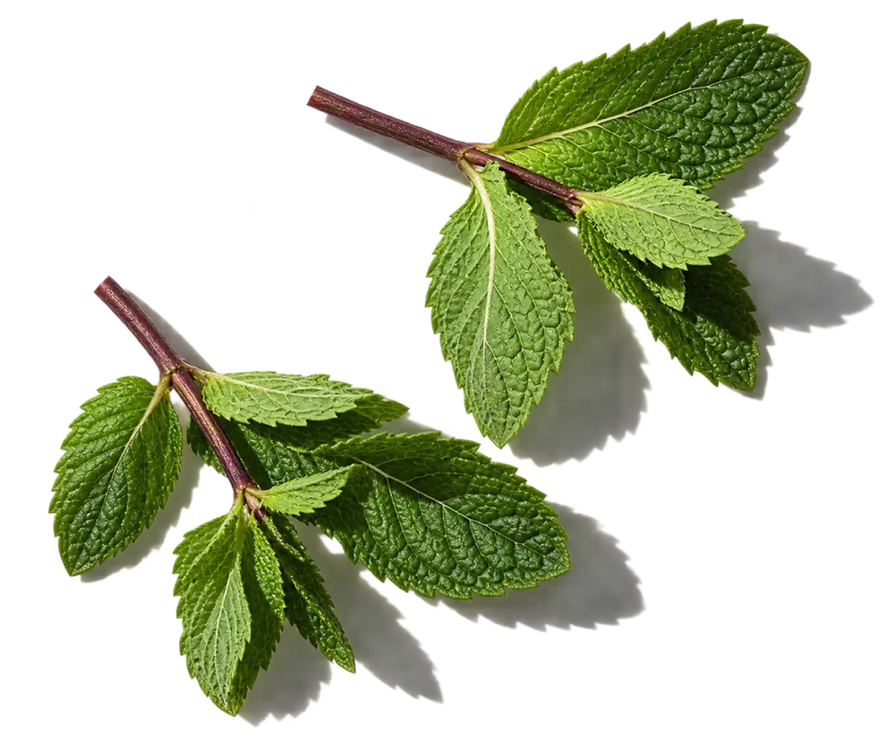 Peppermint Oil