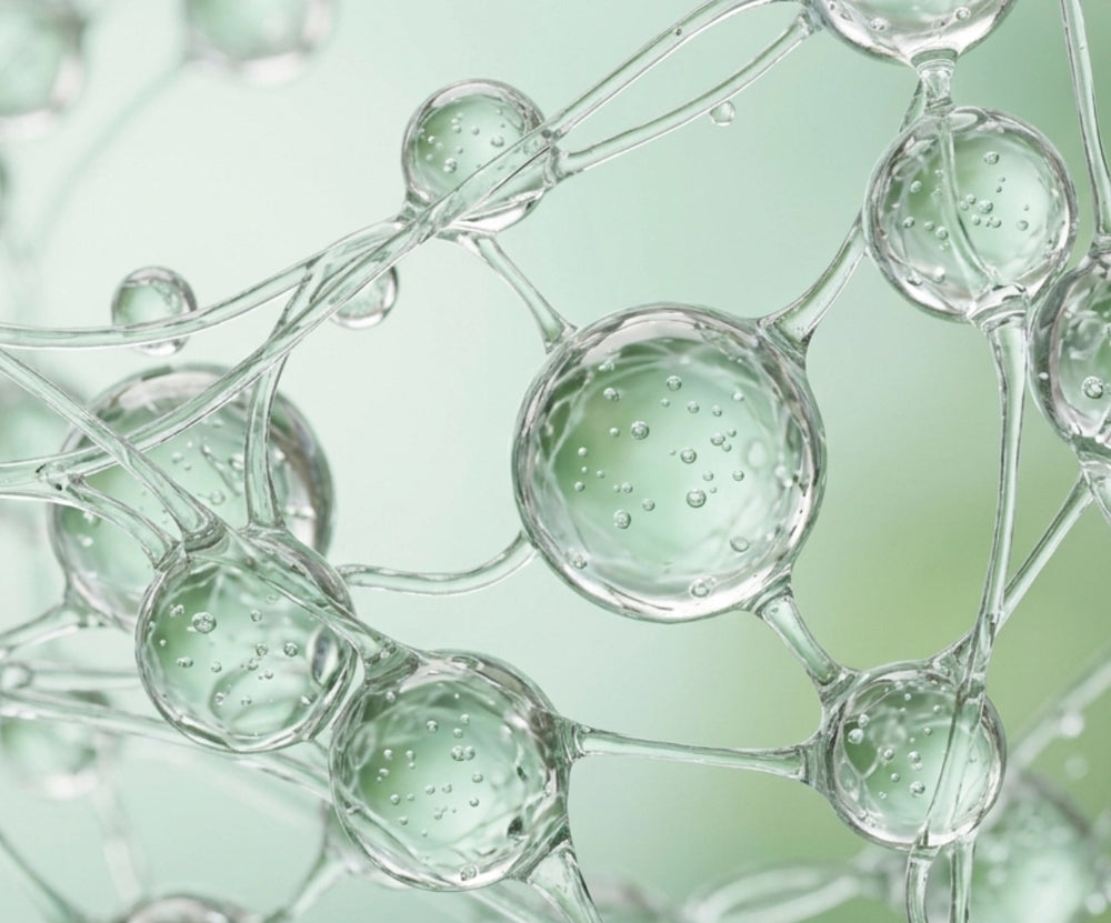 Plant-Based Cellulose + Hydrated Silica