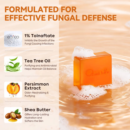 qualiLife_persimmon_antifungal_soap_key_ingredients