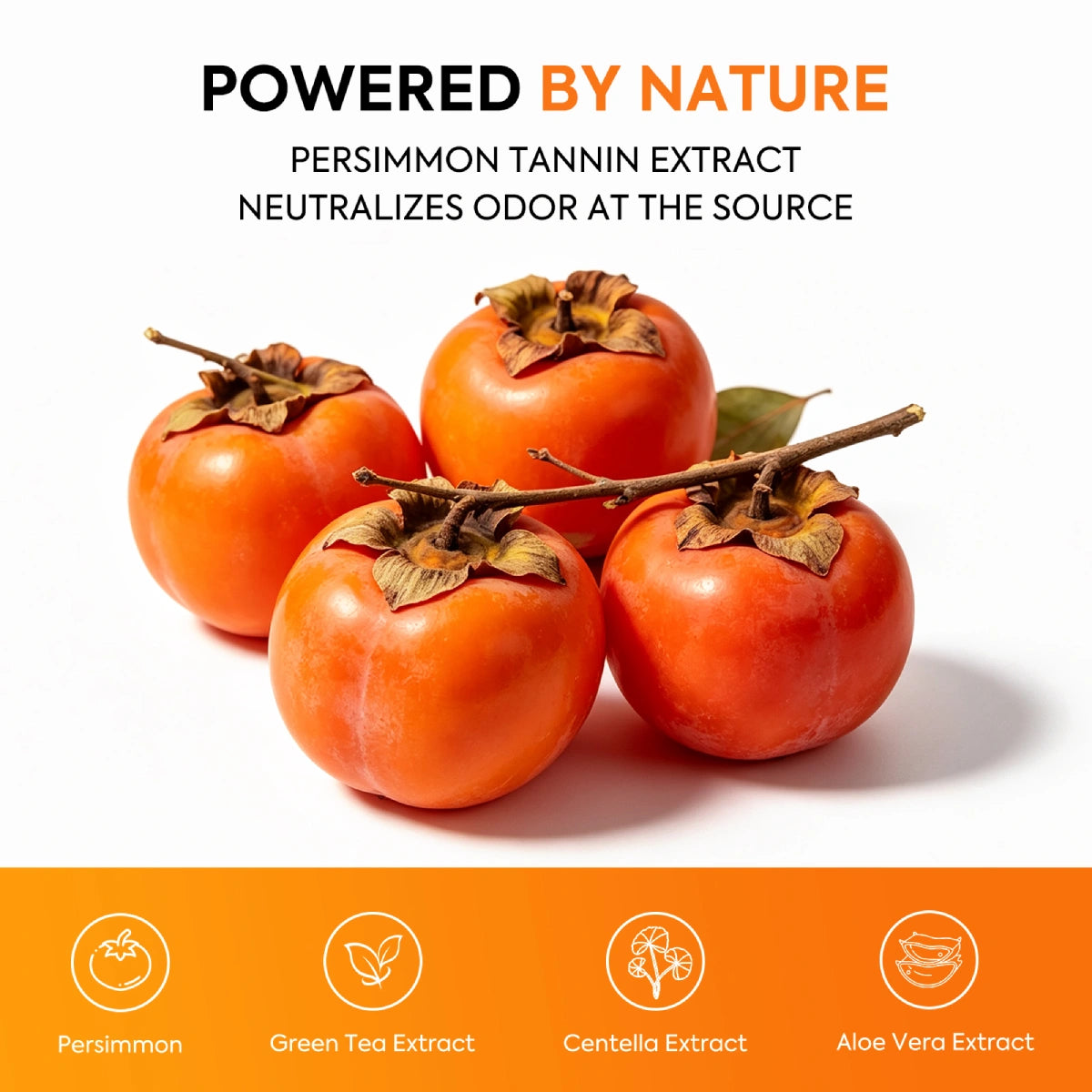 qualilife_persimmon_body_wipes_natural_ingredient