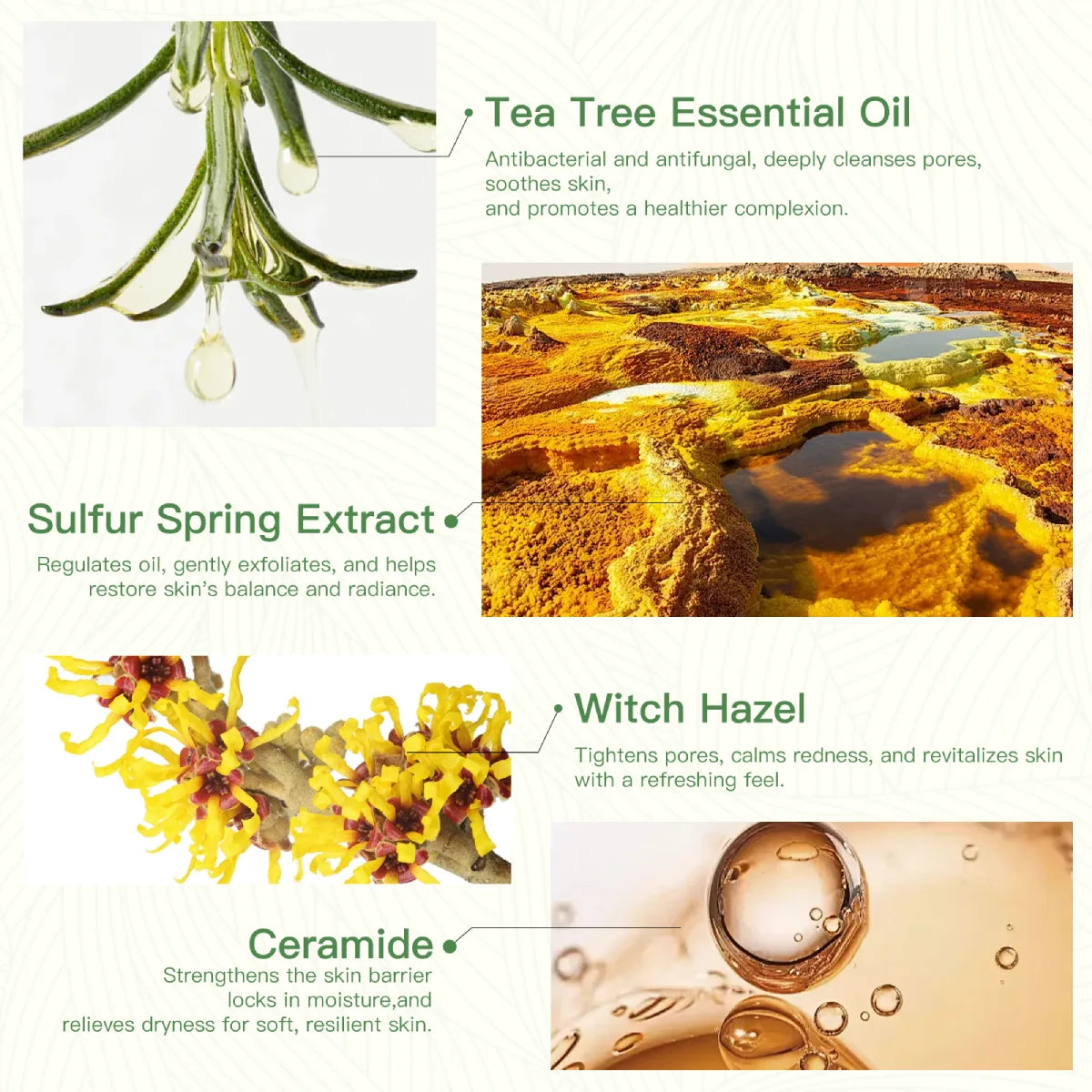 qualilife_tea_tree_soap_key_ingredients_diaplay